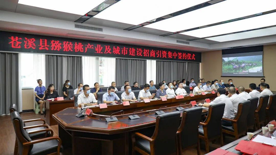 欧美日韩狠狠爱视频a片