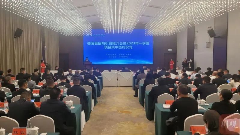 欧美日韩狠狠爱视频a片