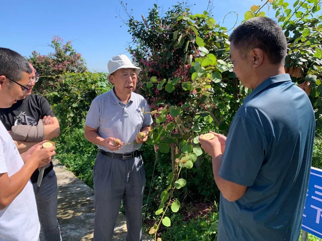 欧美日韩狠狠爱视频a片