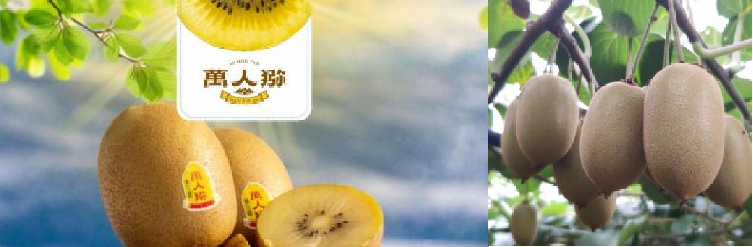 欧美日韩狠狠爱视频a片